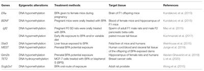 Epigenetic Alteration Shaped by the Environmental Chemical Bisphenol A